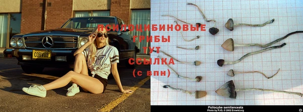дурь Покров