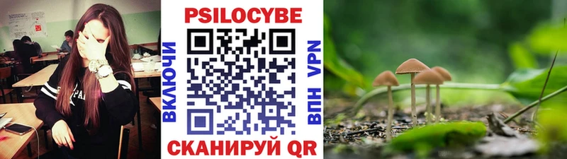 Галлюциногенные грибы мицелий  Бронницы 